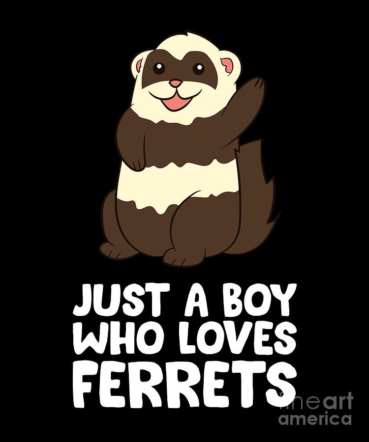 Ferret Boy Just a Boy Who Loves Ferrets Digital Art by EQ Designs ...