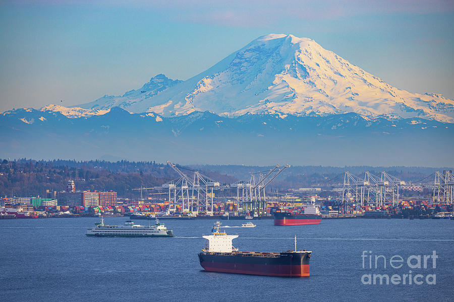Ferries and ships in Seattle harbor Photograph by Inge Johnsson