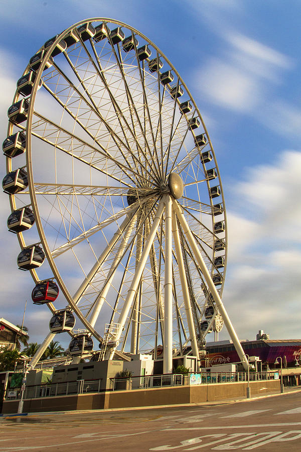 Ferris Wheel in Miami Photograph by Eduardo Romero - Fine Art America