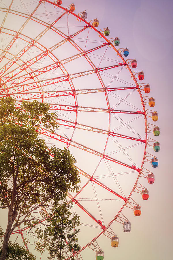 Ferris Wheel Tokyo Japan Photograph by Joan Carroll