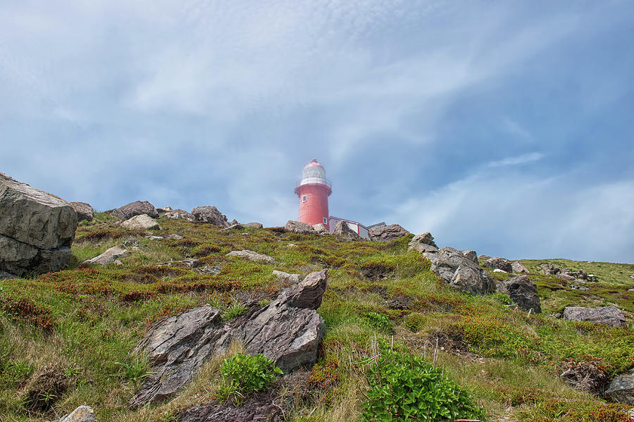 Ferryland Lighthouse Photograph by CR Courson