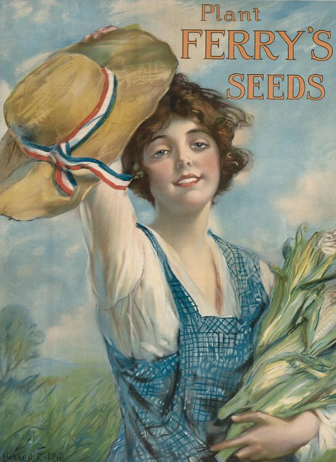 Ferrys Seeds. 1917 Digital Art by Kim Kent