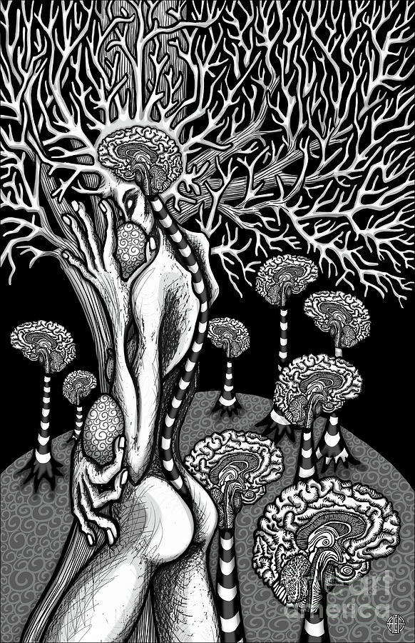 Fertile Mind Drawing by Amy E Fraser