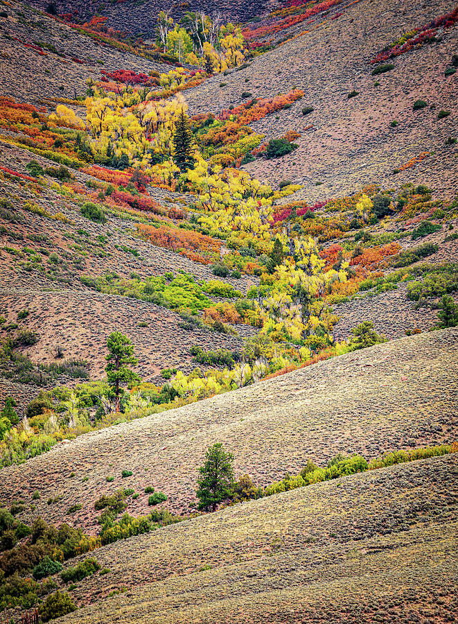 Fertile Valley Vertical Photograph by Jeffrey Ewig Pixels