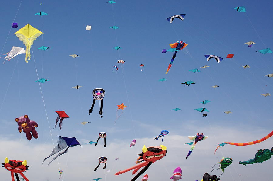 Festival of kites Photograph by Anroir