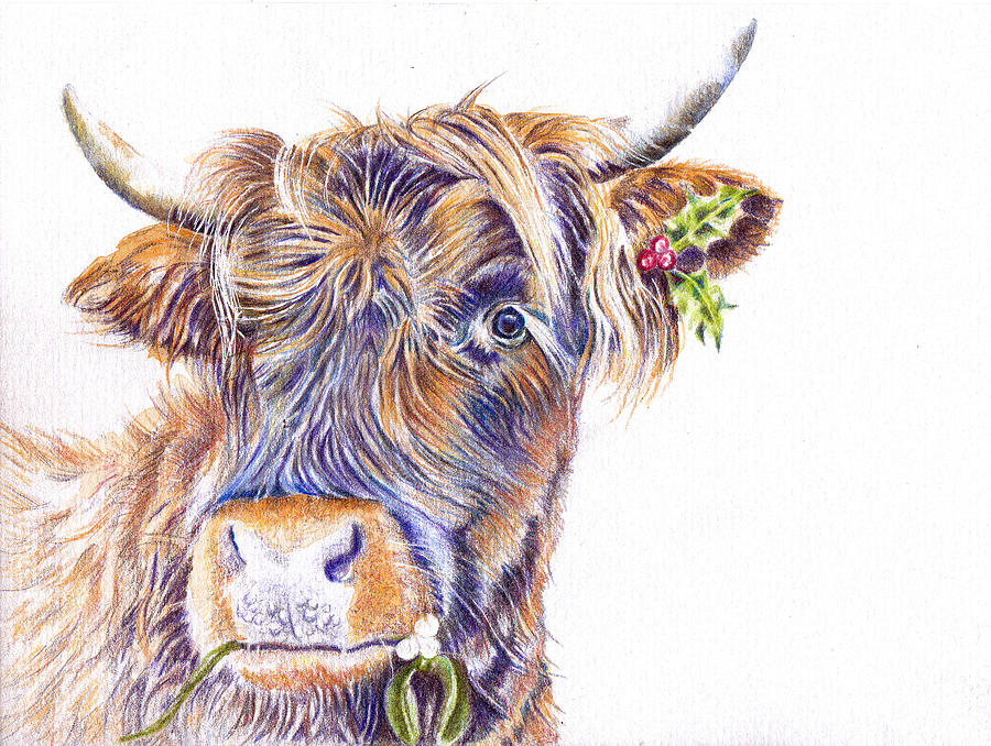 Festive Highland Cow Painting by Debra Hall