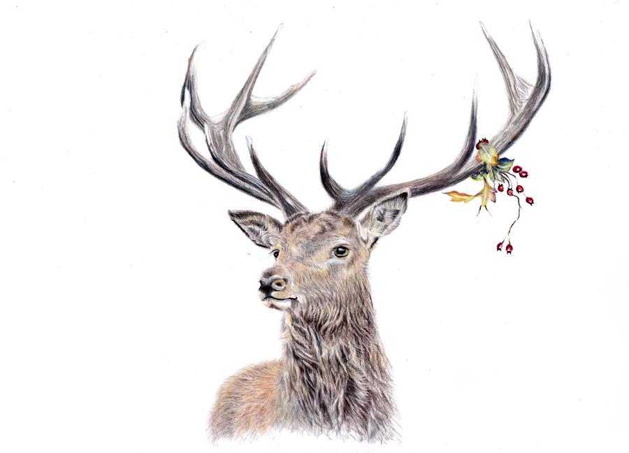 Festive Highland Stag Painting by Debra Hall