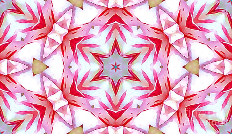 Festive Red Star Pattern by Tracy Ruckman Festive Red Star Pattern by Tracy Ruckman