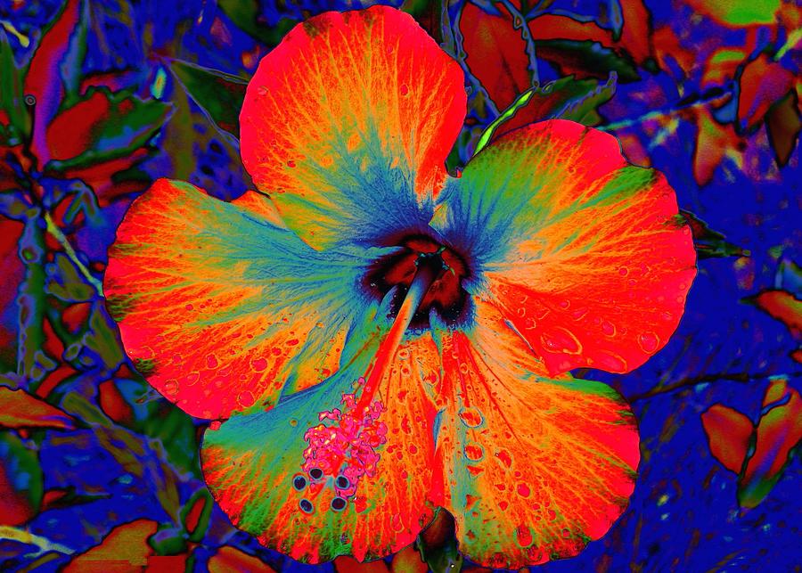 Festooned Hibiscus Digital Art by Larry Beat