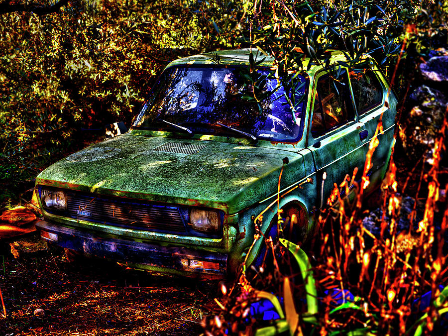 Fiat 127 - Sleeping Beauty In The Woods Photograph