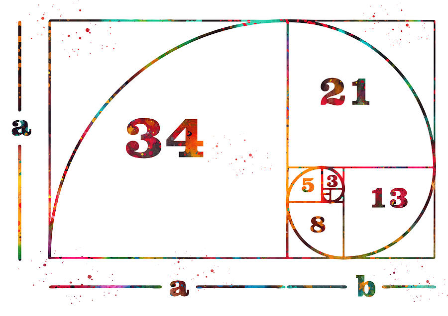 art fibonacci spiral
