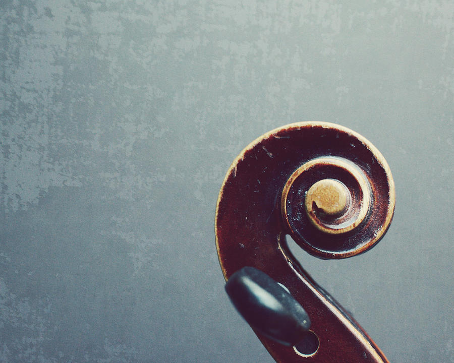 Fiddle Head Photograph by Lupen Grainne Fiddle Head Photograph by Lupen Grainne