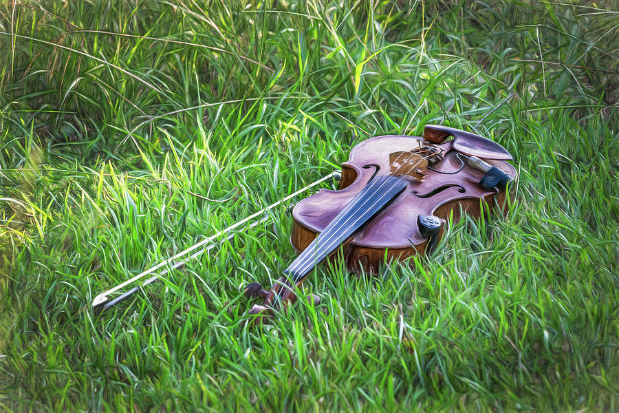 Fiddle or Violin Photograph by John Kirkland