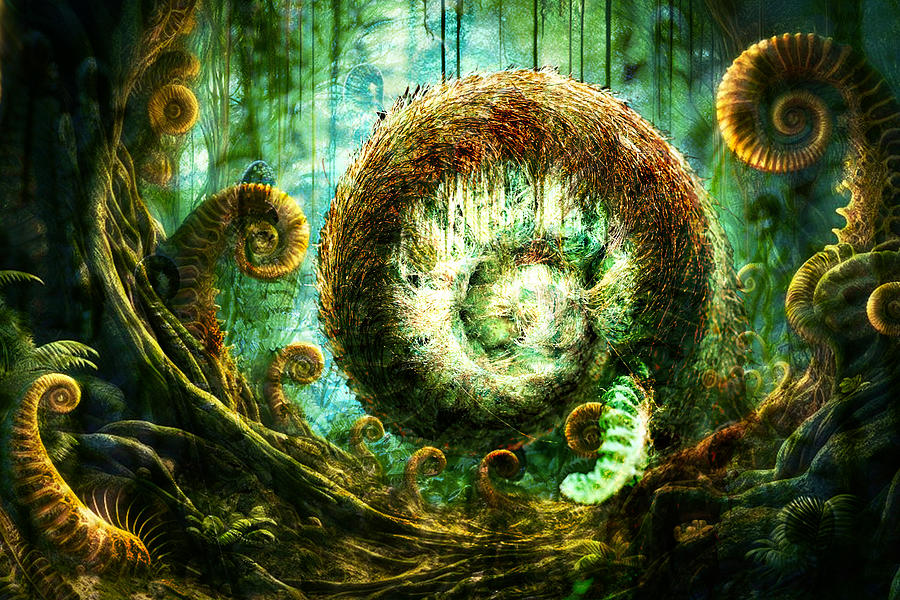 Fiddlehead Forest Digital Art by Lisa Yount
