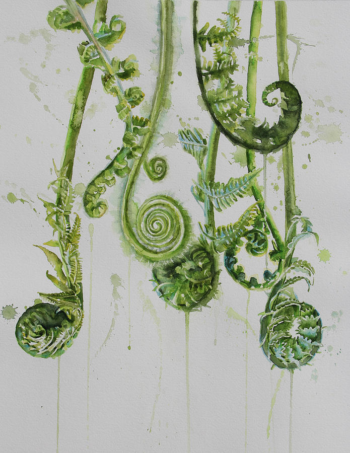 Fiddleheads Unfurling 1 Painting by Tracy Male