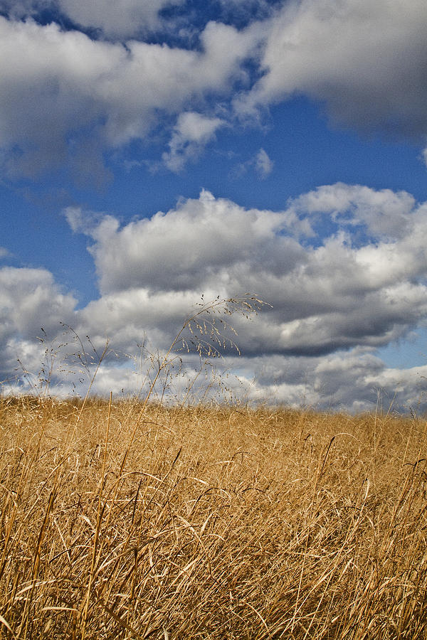 Field against sky in autumn Photograph by Jennifer Smith