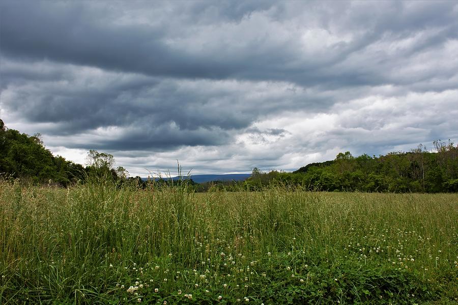 Field And Sky Photograph