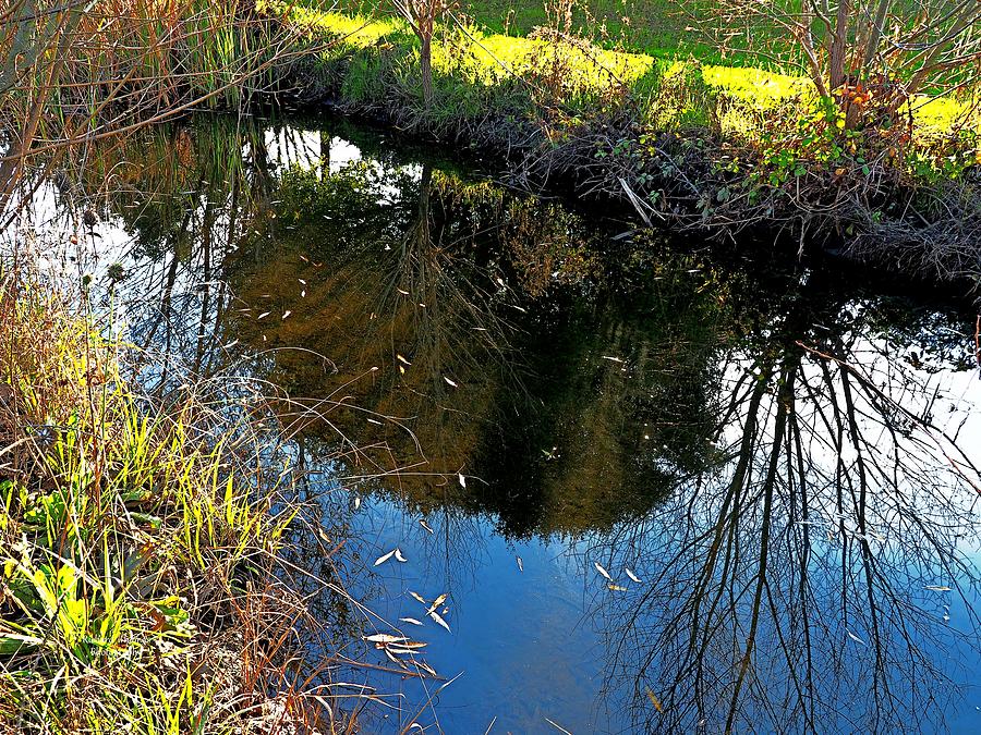 Field and Stream Photograph by Richard Thomas - Fine Art America