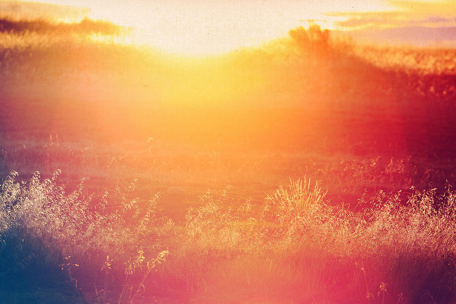 Field at sunset, lens flare and vintage tint Photograph by Anna Gorin