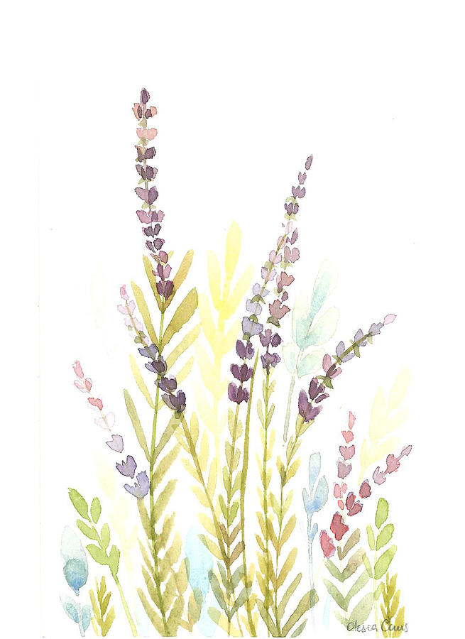 Field Flowers Drawing By Olesea Caus
