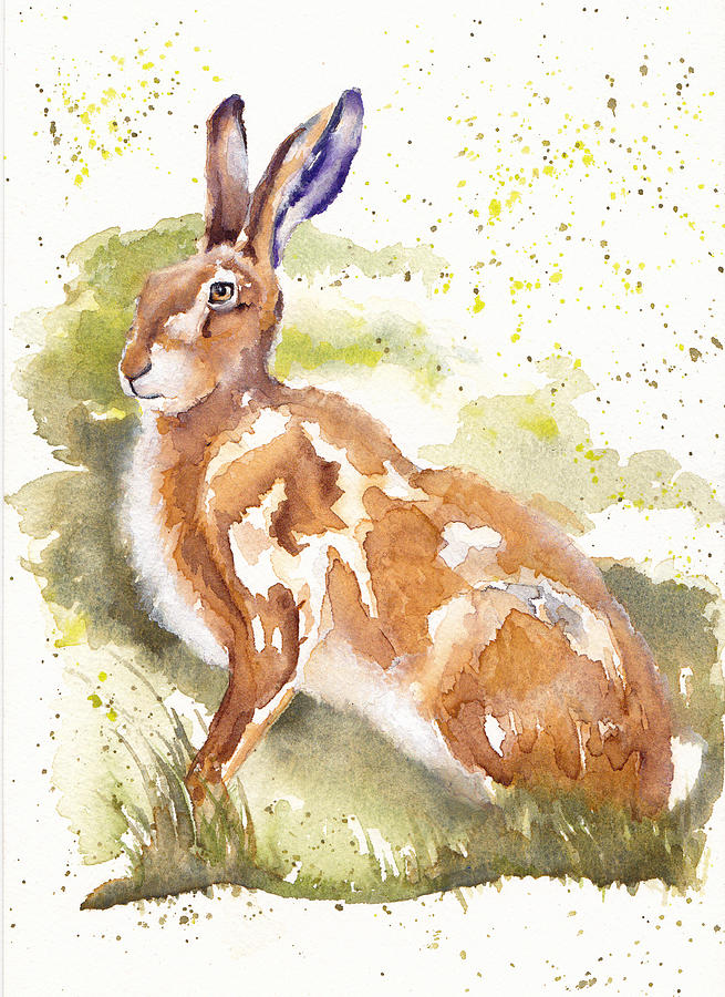 Wildlife Painting - Field Hare by Debra Hall