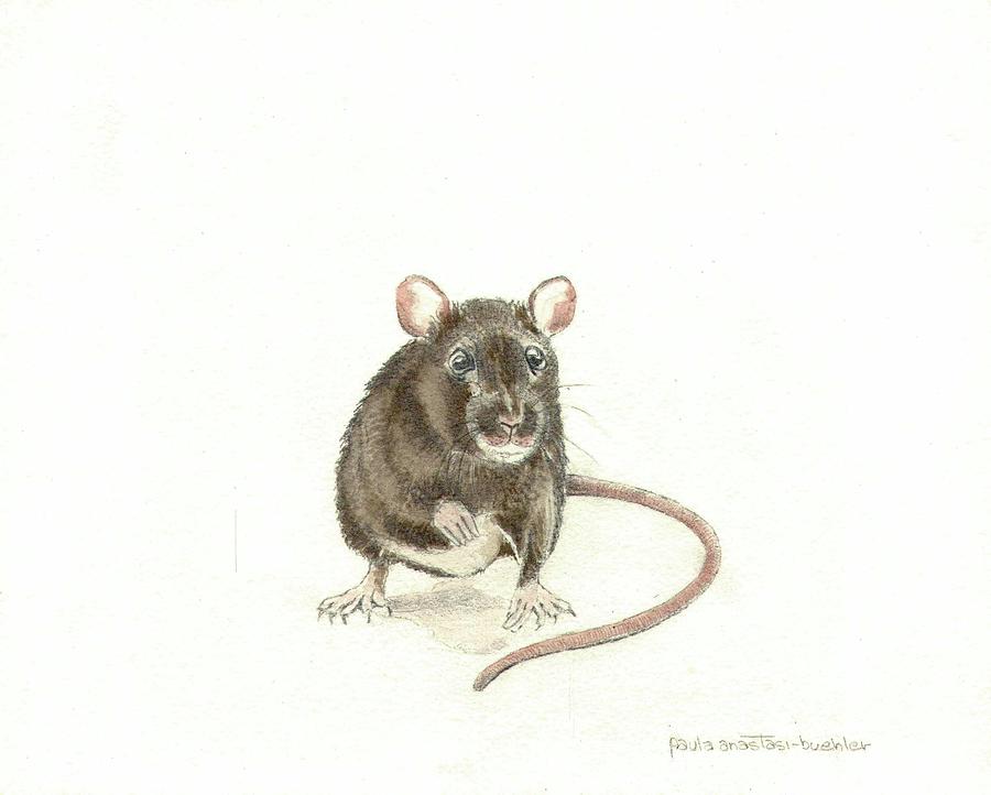 Field Mouse Painting by Paula Anastasi-Buehler - Fine Art America