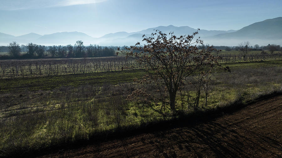 Field near Raiano Italy  Photograph by John McGraw