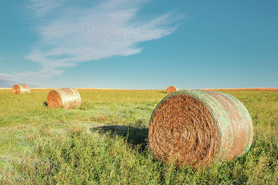 Field of Bales Photograph by Todd Klassy