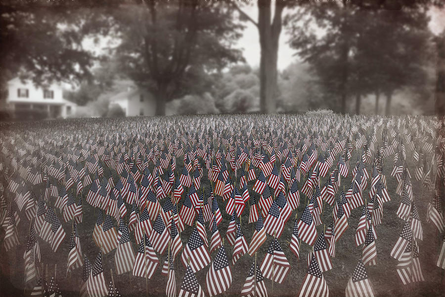 Field Of Flags Photograph