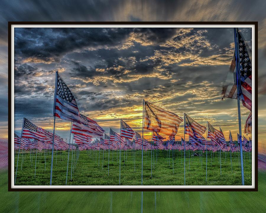 Field of Flags Photograph by Fiskr Larsen