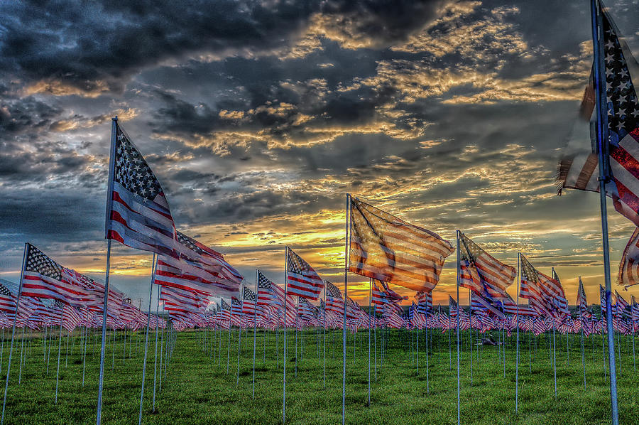 Field of Flags #2 Photograph by Fiskr Larsen