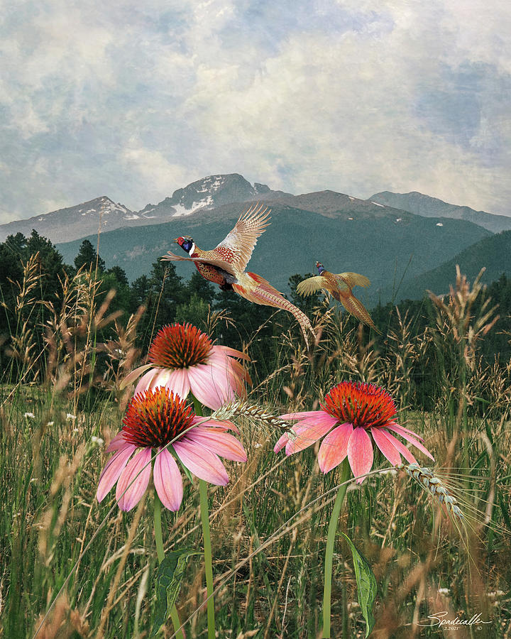 Field of Flowers and Pheasants Digital Art by M Spadecaller
