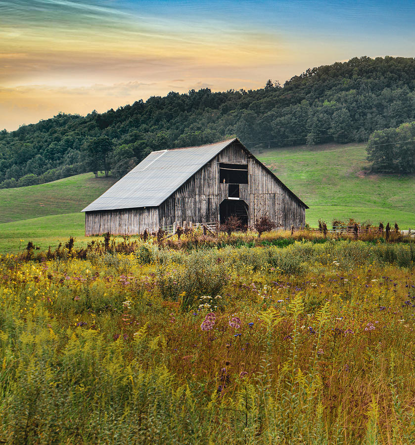 Field of Flowers and Vintage Barn Photograph by Lisa Lambert-Shank