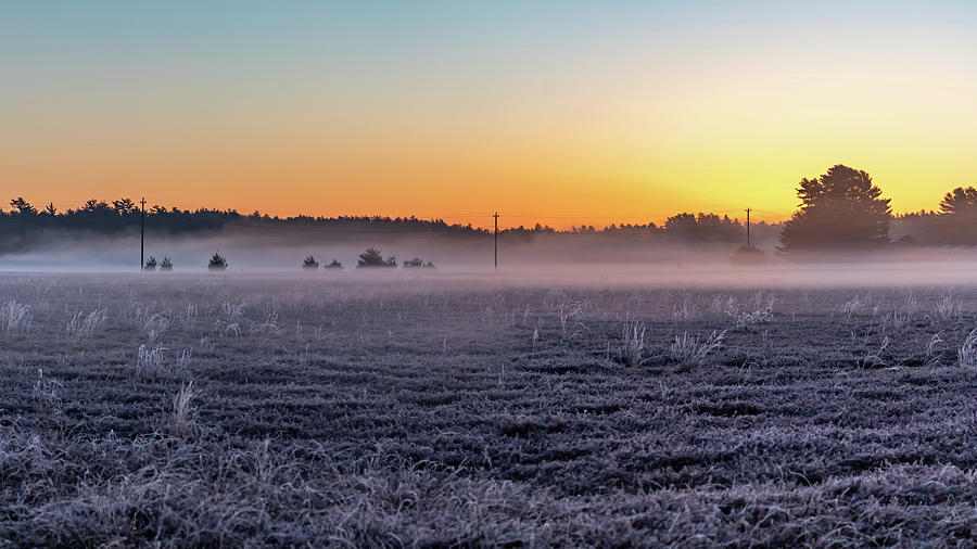 Field of Frost Photograph by William Bretton