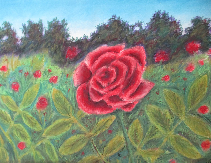Field of Roses Painting by Jen Shearer