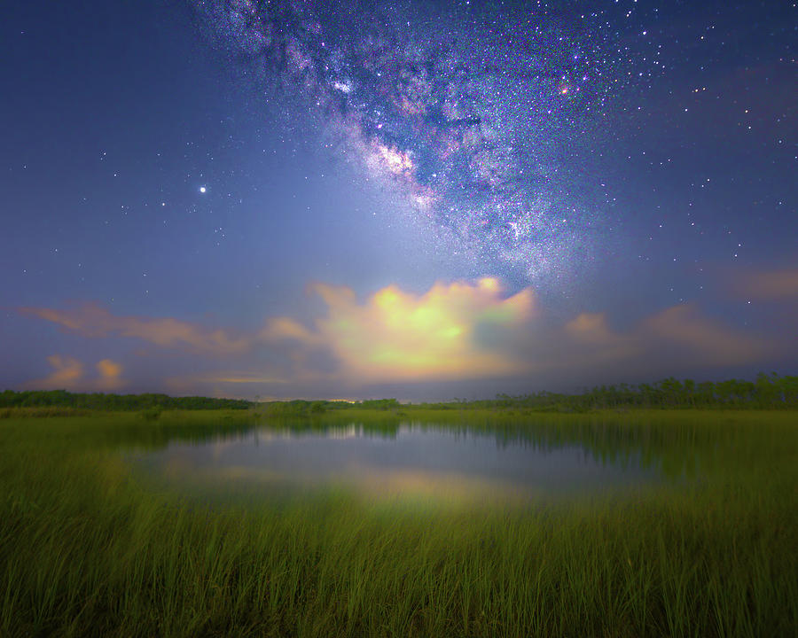 Field of Stars Photograph by Mark Andrew Thomas