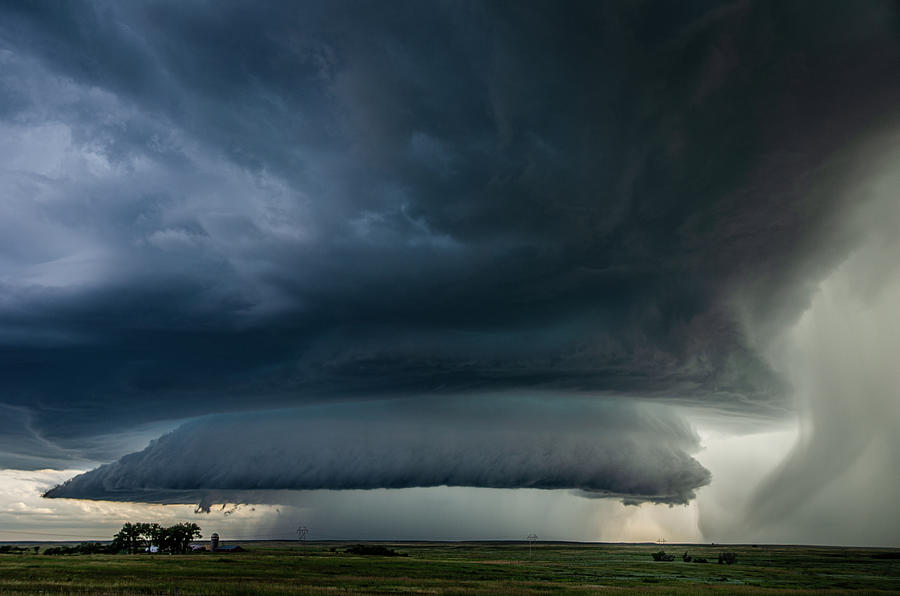 Field of Supercells Photograph by Adam Lucio - Pixels