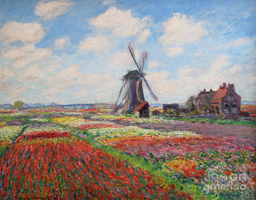 Field of Tulips in Holland - Monet Painting by Claude Monet - Fine Art ...