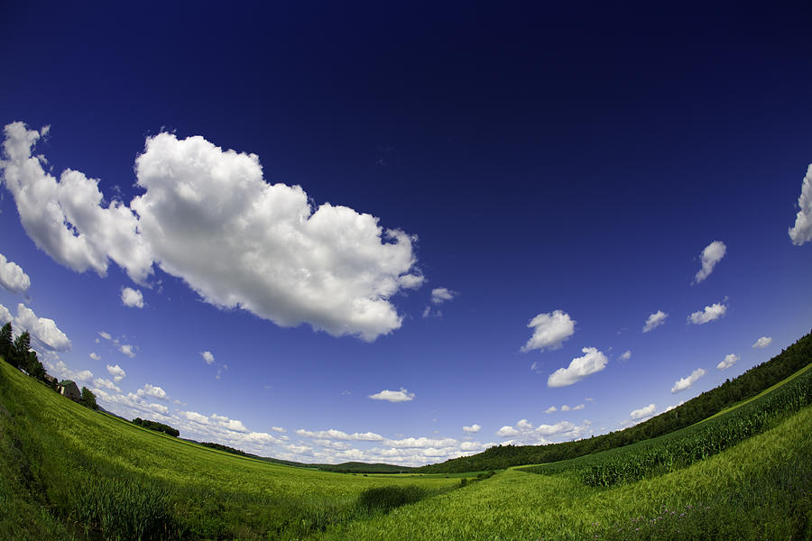 Field on Sunny Day, Fisheye Photograph by Instants