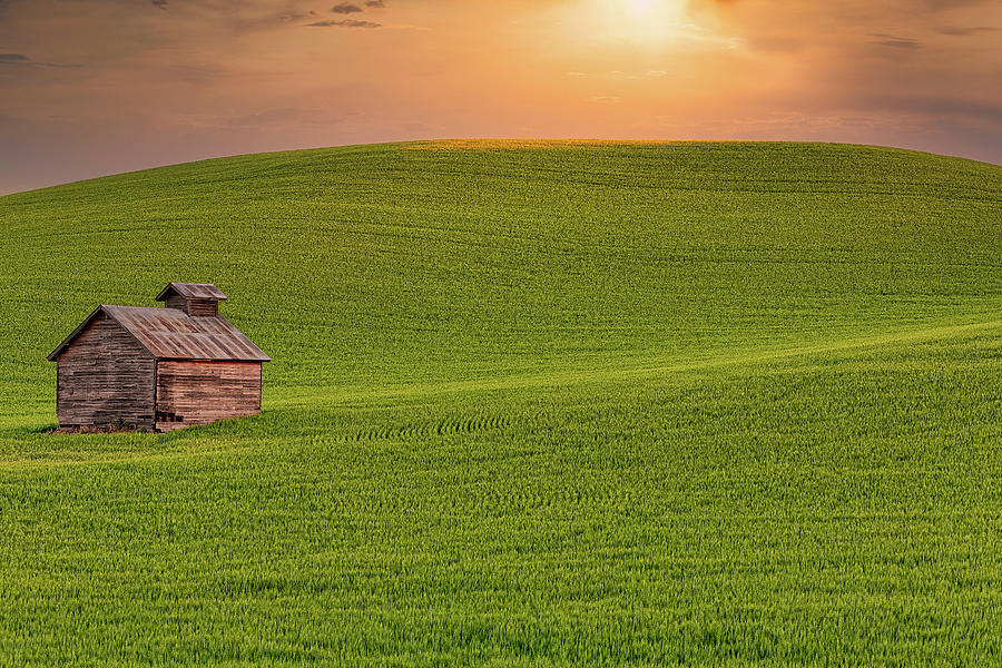 Sunset Photograph - Field Shed by Thomas Hall