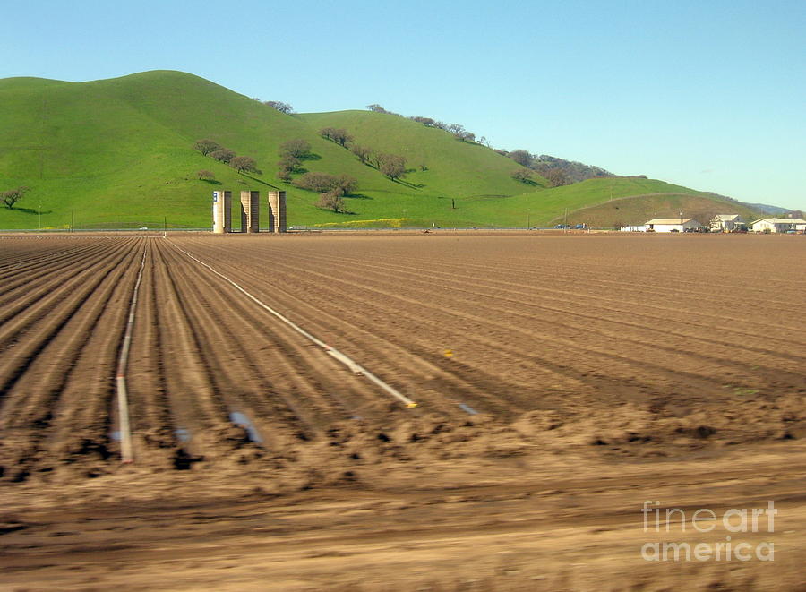 Field South Of Gilroy Photograph by James B Toy