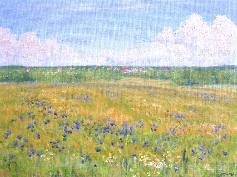 Field with cornflowers Painting by Constanza Weiss