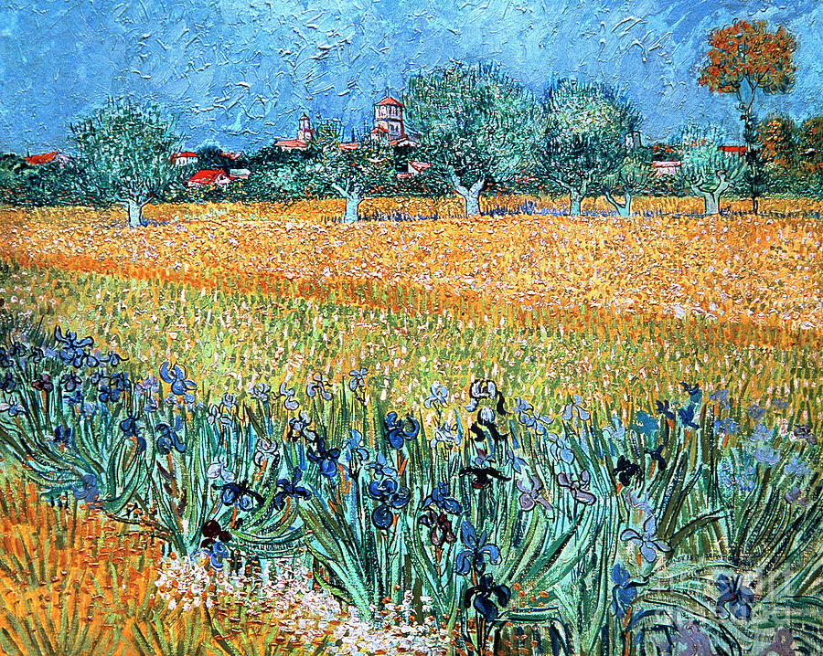 Flower Painting - Field with Flowers near Arles by Vincent Van Gogh