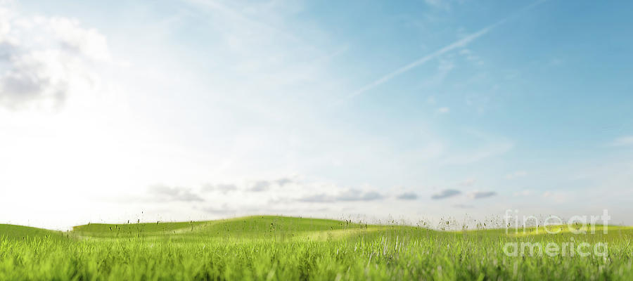 Field With Green Grass. Staycations Concept. Photograph