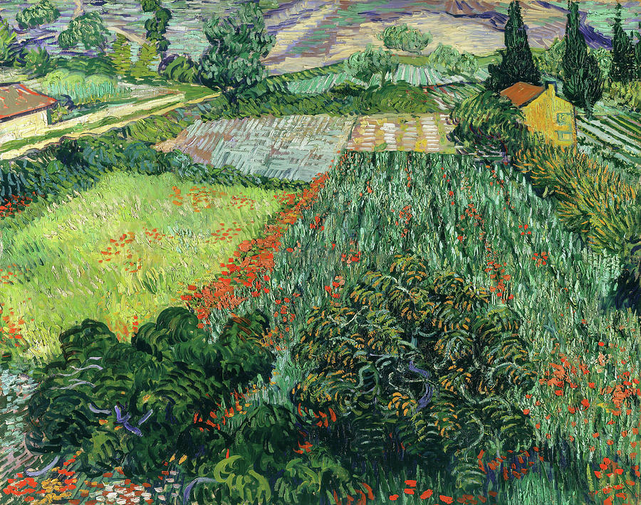 Field With Poppies Painting