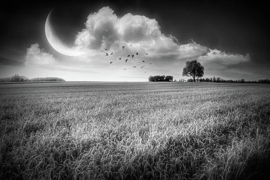 Fields in Early Evening Nightfall Black and White  Photograph by Debra and Dave Vanderlaan