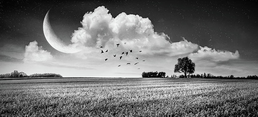 Fields in Early Evening Nightfall Black and White Panorama Photograph by Debra and Dave Vanderlaan