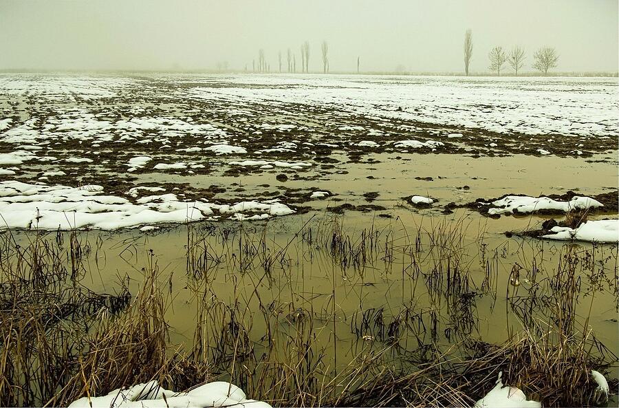 Fields Photograph by Marinko Shlakeski Fields Photograph by Marinko Shlakeski