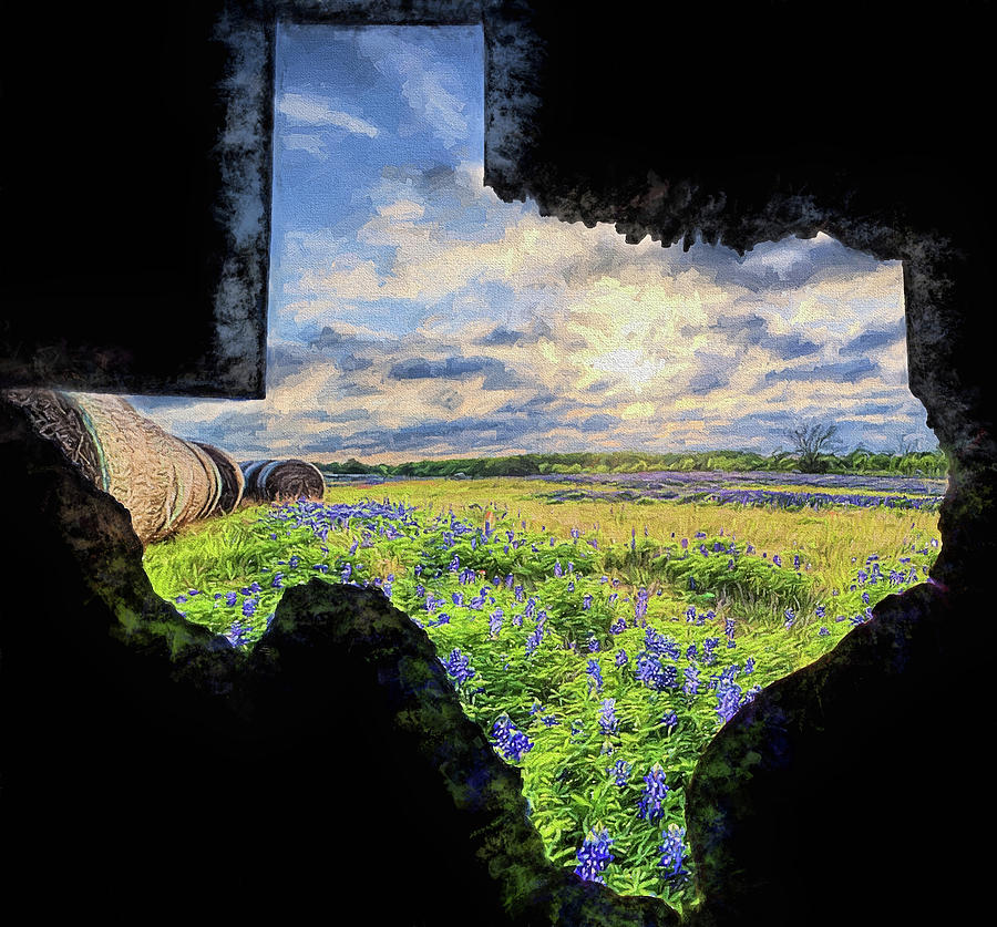 Fields of Bluebonnets Texas Shaped Digital Art by JC Findley