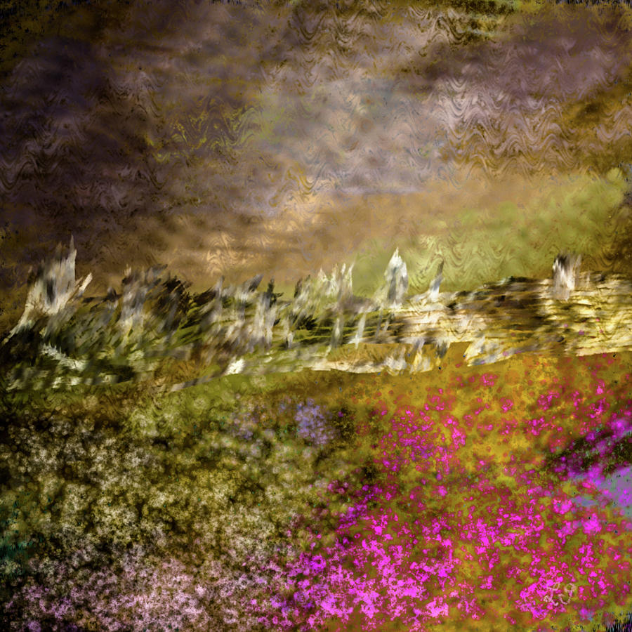 Fields of flowers #j3 Digital Art by Leif Sohlman